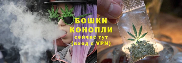 прущие грибы Баксан