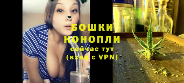 прущие грибы Баксан