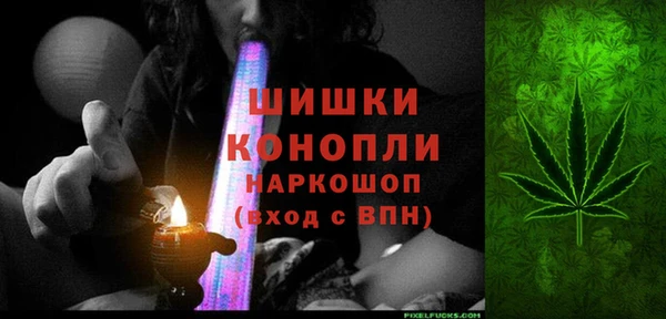 прущие грибы Баксан