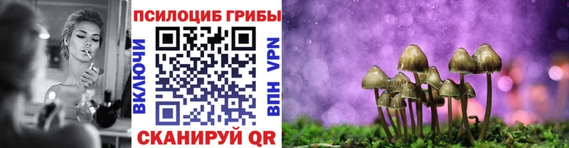 Купить  Выкса  Псилоцибиновые грибы мицелий 